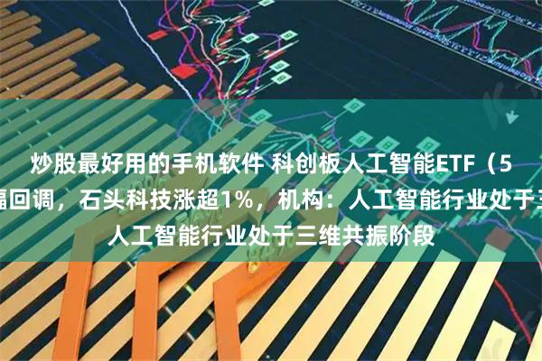 炒股最好用的手机软件 科创板人工智能ETF（588930）小幅回调，石头科技涨超1%，机构：人工智能行业处于三维共振阶段