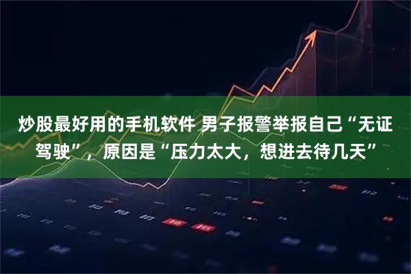 炒股最好用的手机软件 男子报警举报自己“无证驾驶”，原因是“压力太大，想进去待几天”