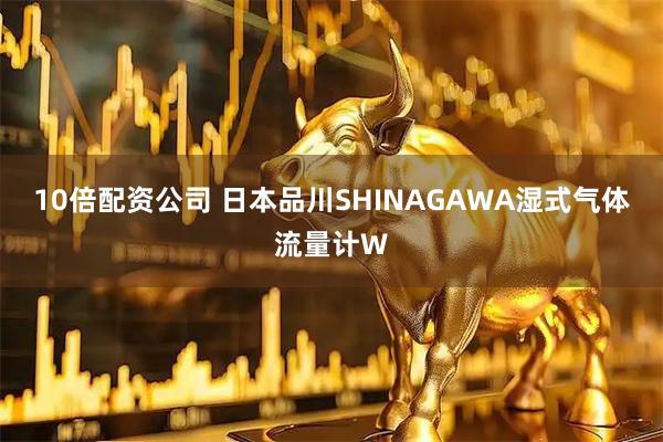10倍配资公司 日本品川SHINAGAWA湿式气体流量计W